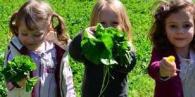 Psiholozi u pred&scaron;kolskim ustanovama - članak u Glasu Istre
