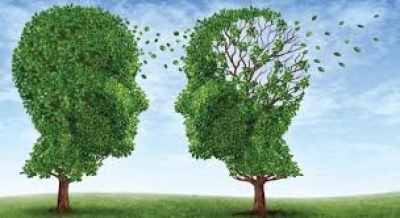 Sekcija za kliničku psihologiju na 24. GKHP - najava: 2 stručna domjenka