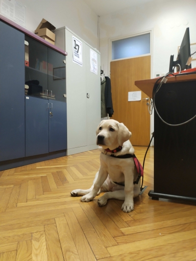 Sekcija za penolo&scaron;ku psihologiju - poziv na sastanak sa stručnim predavanjem - 13.2.26.