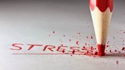 Stres u kliničkoj medicini 21. stoljeća &ndash; biologijski, psihodinamski i socijalni faktori - obavijest o znanstvenom skupu