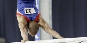 Sekcija za sportsku psihologiju - poziv na sastanak 17.06.2014.