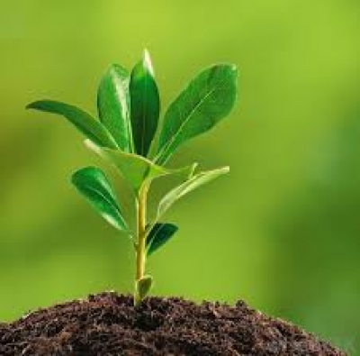 Sekcija za ekolo&scaron;ku psihologiju - poziv na sastanak 14.12.2019.